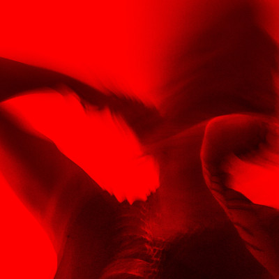 night fogのジャケット写真