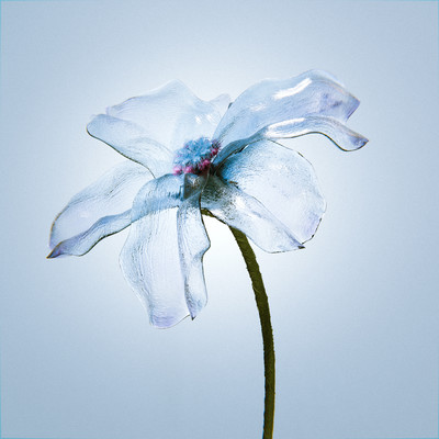 Flower Front Cover