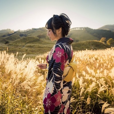 森羅万象のジャケット写真