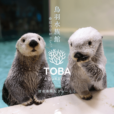 鳥羽水族館 -命はつながって-のジャケット写真