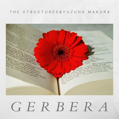 Gerbera Front Cover