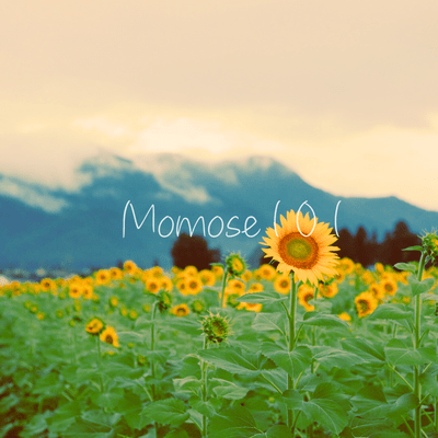 It is Beautiful Front Cover