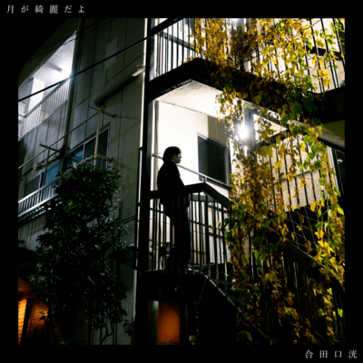 Tsuki ga kireidayo Front Cover