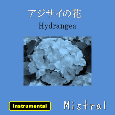 アジサイの花 (Instrumental)のジャケット写真