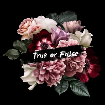 True or False Front Cover