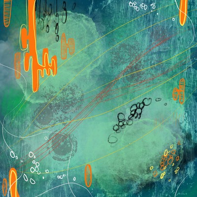 I'm in the Wild Front Cover