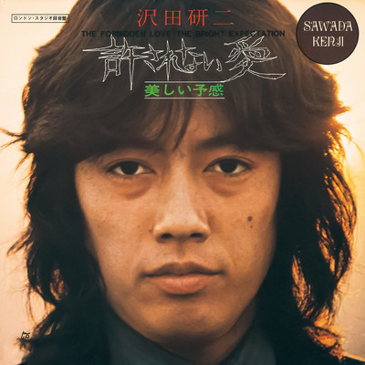許されない愛のジャケット写真