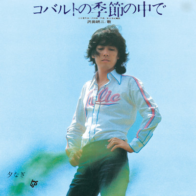コバルトの季節の中でのジャケット写真