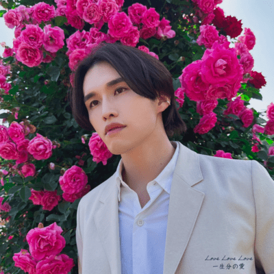 Love Love Love 一生分の愛のジャケット写真