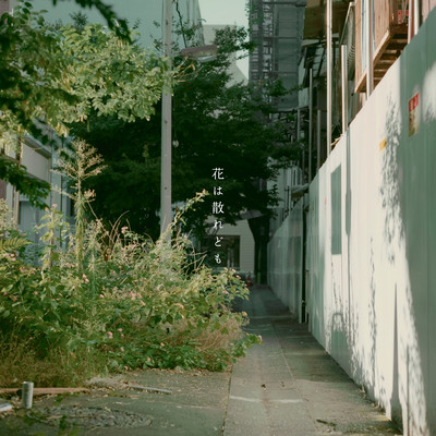 花は散れどものジャケット写真