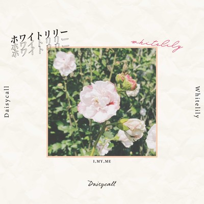 whitelily Front Cover