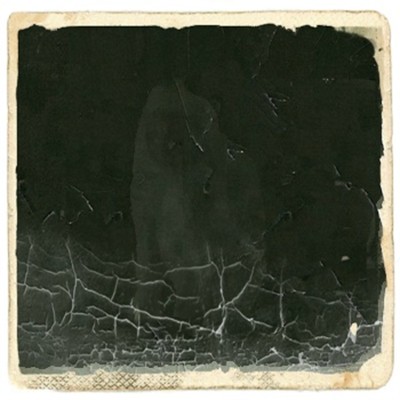 black sticks Front Cover