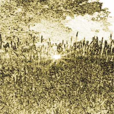 organic groovin' Front Cover