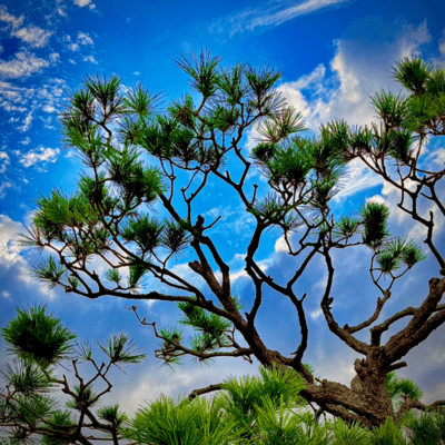 624のジャケット写真