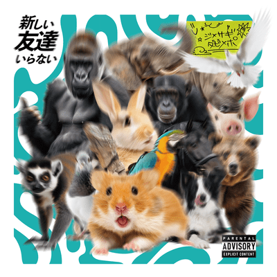 新しい友達いらないのジャケット写真