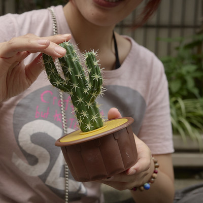 Togeのジャケット写真