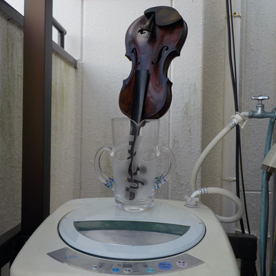 Reality that inconspicuously phenomenal Front Cover