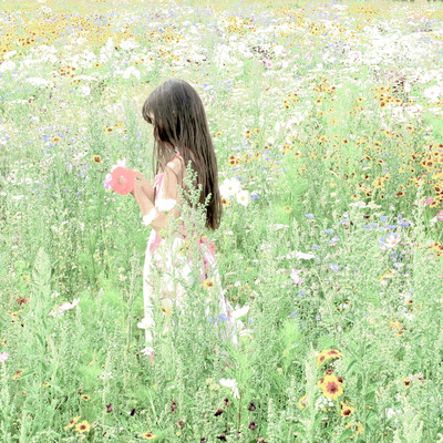 She bowed in obeisance and departed Front Cover