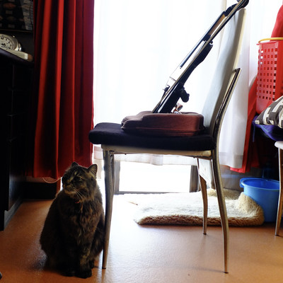 中年男、奮闘すのジャケット写真