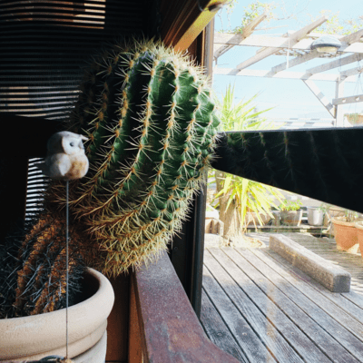 First Stepのジャケット写真