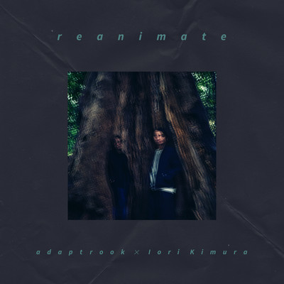 reanimate Front Cover