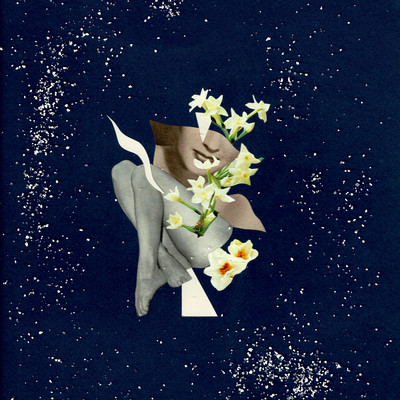 Narcissus Front Cover