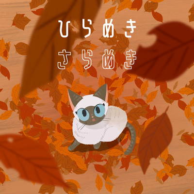 flash flush Front Cover