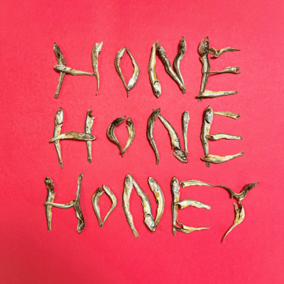 HONEHONEHO Front Cover