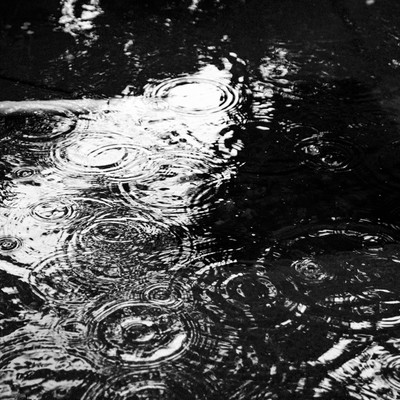 Black Rain Front Cover