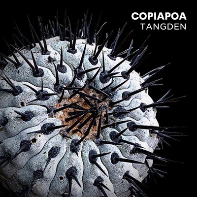 COPIAPOA Front Cover