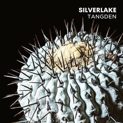 SILVER LAKE Front Cover