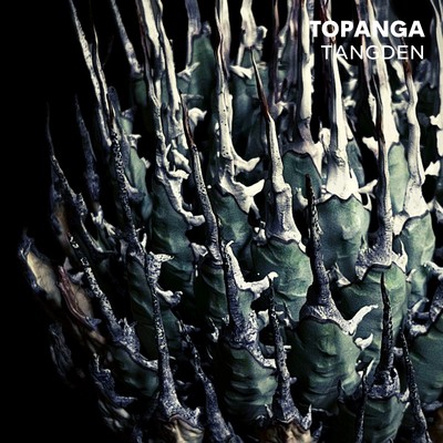 TOPANGA Front Cover