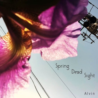 Spring Dead Sightのジャケット写真