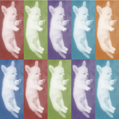 Hello, so lonely night Front Cover