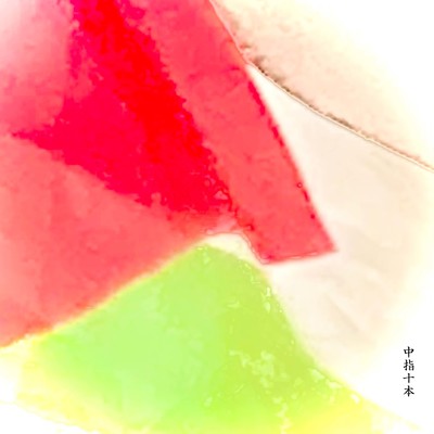 10 middle fingers on both hands Front Cover