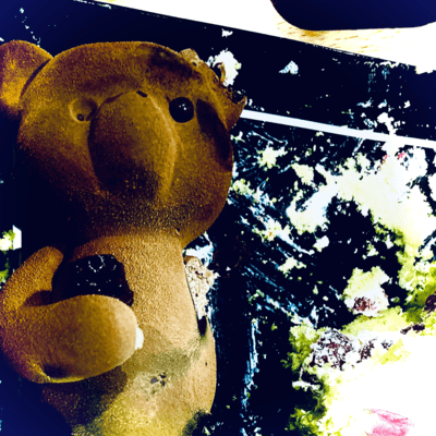 Shapeless Shame Front Cover