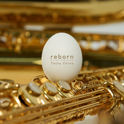 Rhapsody in reborn Front Cover