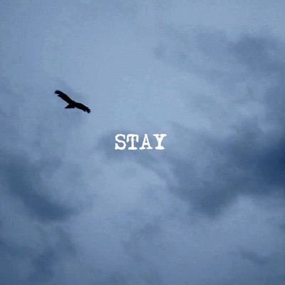 STAY Front Cover