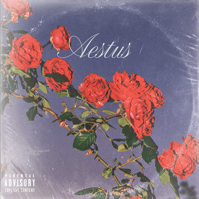 Aestus (feat. Lil Mesh191 & JOYLIIFE) Front Cover