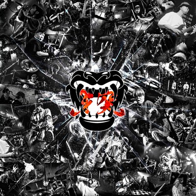Vendetta Front Cover