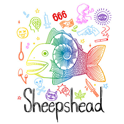 4 sheeps Front Cover