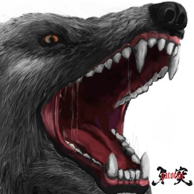 無常のジャケット写真