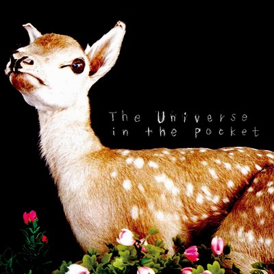 the universe in the pocketのジャケット写真