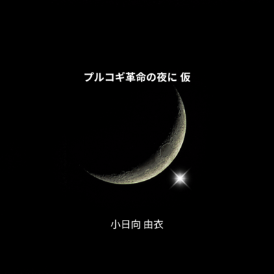 On the night of the Bulgogi revolution Front Cover