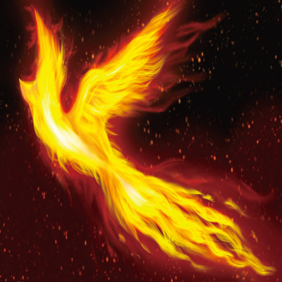 Phoenix Front Cover