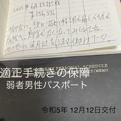 弱者男性パスポートのジャケット写真