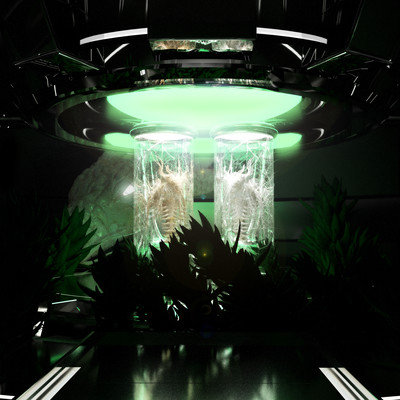 SAKURAのジャケット写真