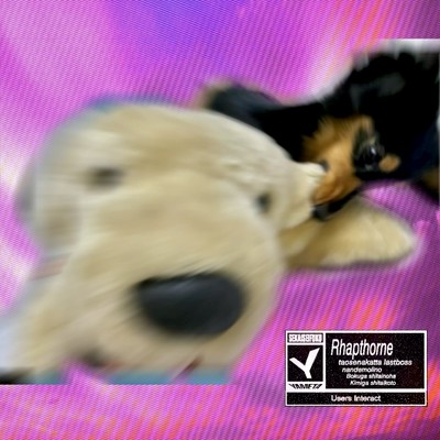 Rhapthorneのジャケット写真