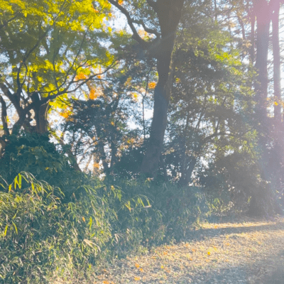 acneのジャケット写真