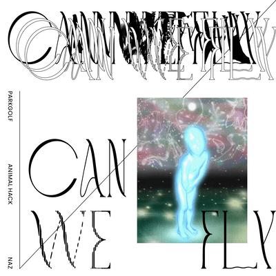 Can We Flyのジャケット写真